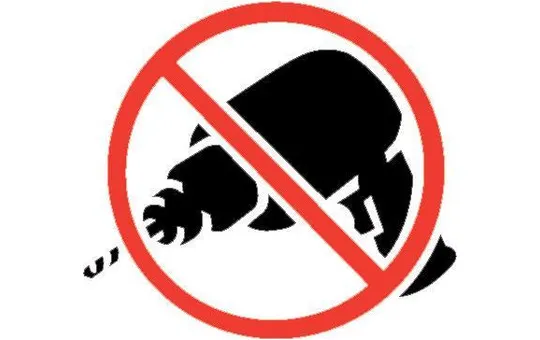 SPORT-LID ALLUMINIO EVO DOPPIA CABINA (interno cassone misure: 150x150 no Long Bed) 5