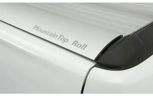 ROLLER MTR SILVER 2