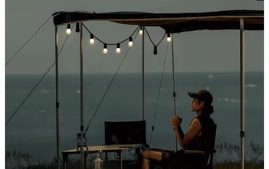 S14 SPEAKER STRING LIGHT WILD LAND 2