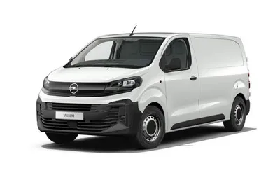VIVARO DAL 2019