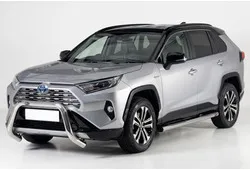 RAV4 DAL 2019