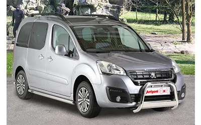 PARTNER DAL 2006 AL 2008